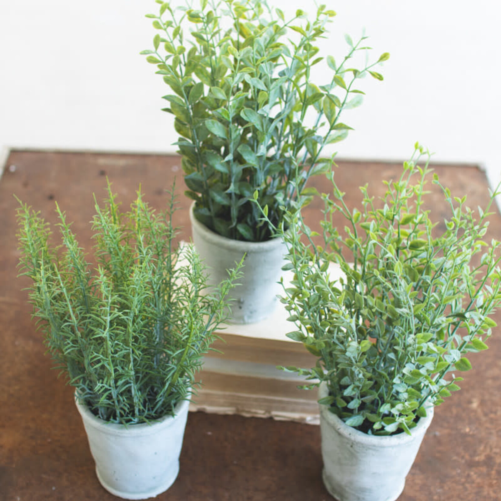Artificial Herbs in Cement Pots, Assorted Styles, Priced Individually