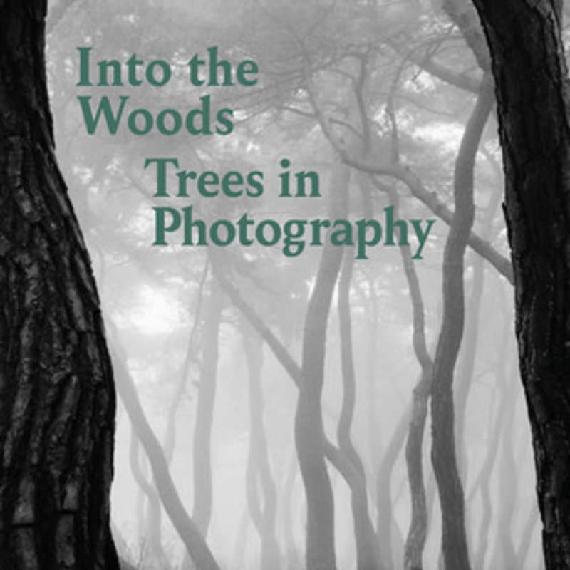 Into the Woods: Trees and Photography