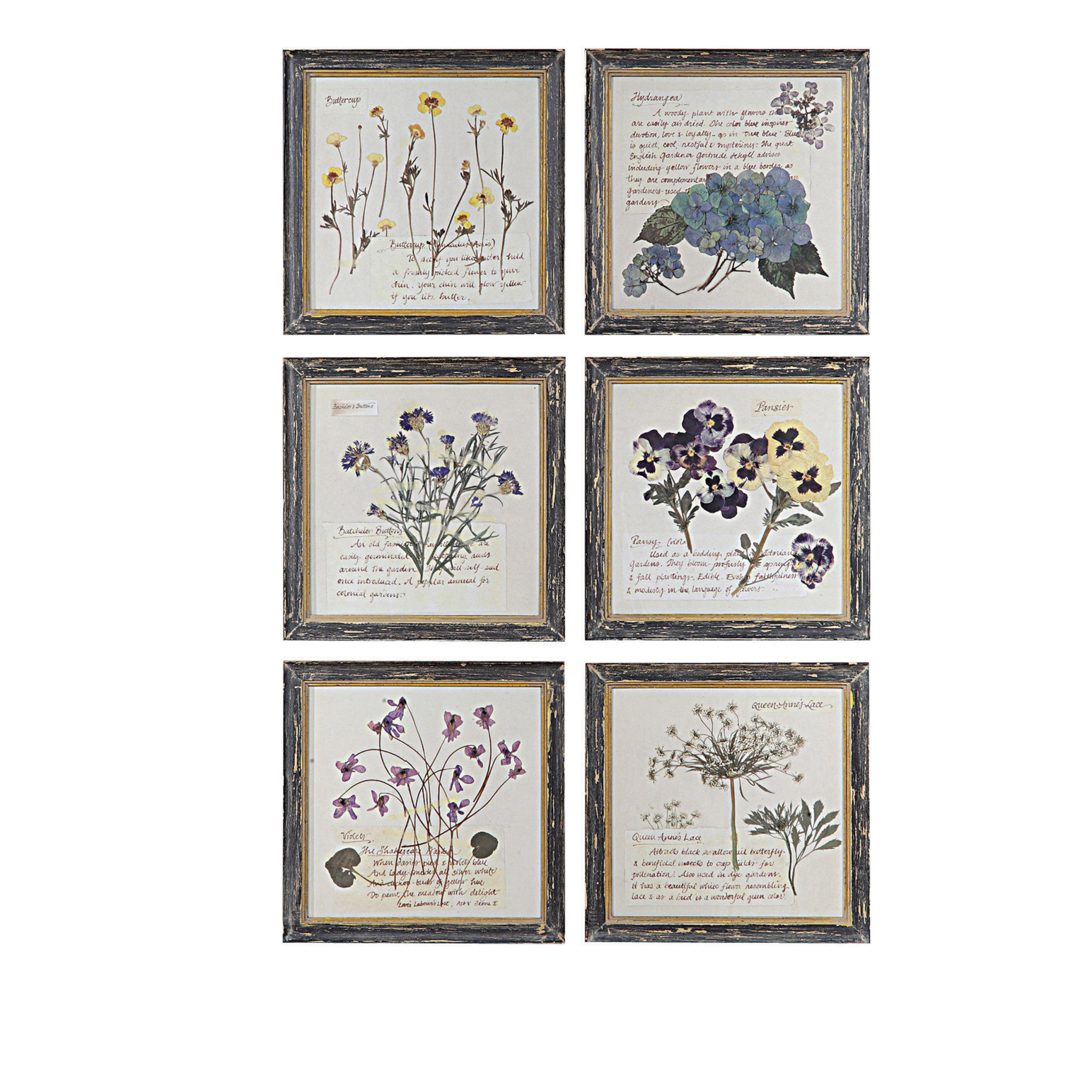 Framed Wall Decor with Floral Image 10x10