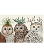 Owls Placemat Set  of 12