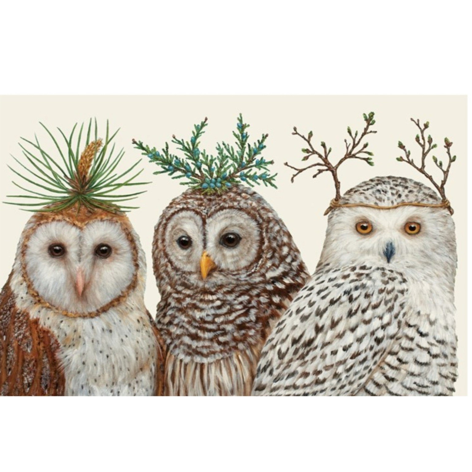 Owls Placemat Set  of 12
