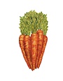 Carrots Table Accent Set  of 12