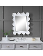 Sea Coral Mirror, 27 X 34, Mirror Available for Local Delivery or Pick Up