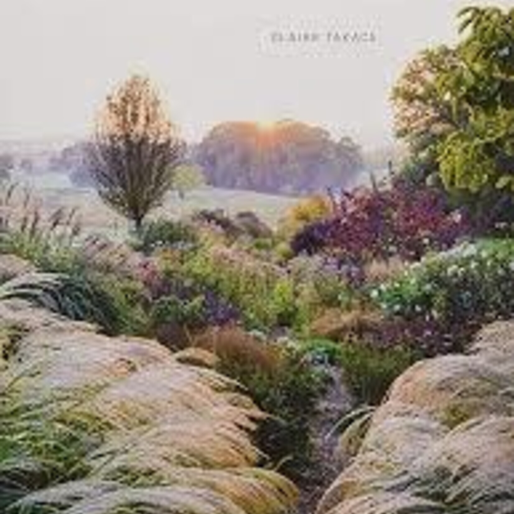 Dreamscapes Book