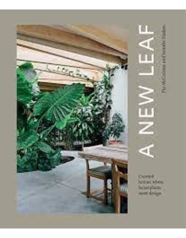 A New Leaf - Jennifer Haslam