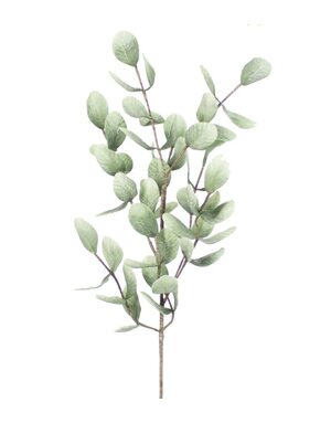 Botanica #875