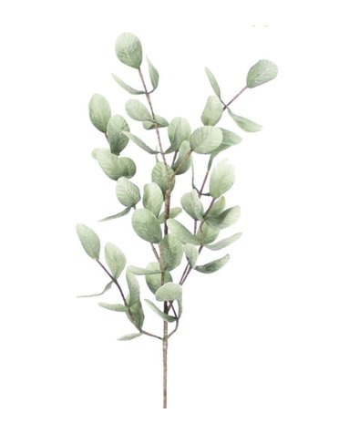 Botanica #875