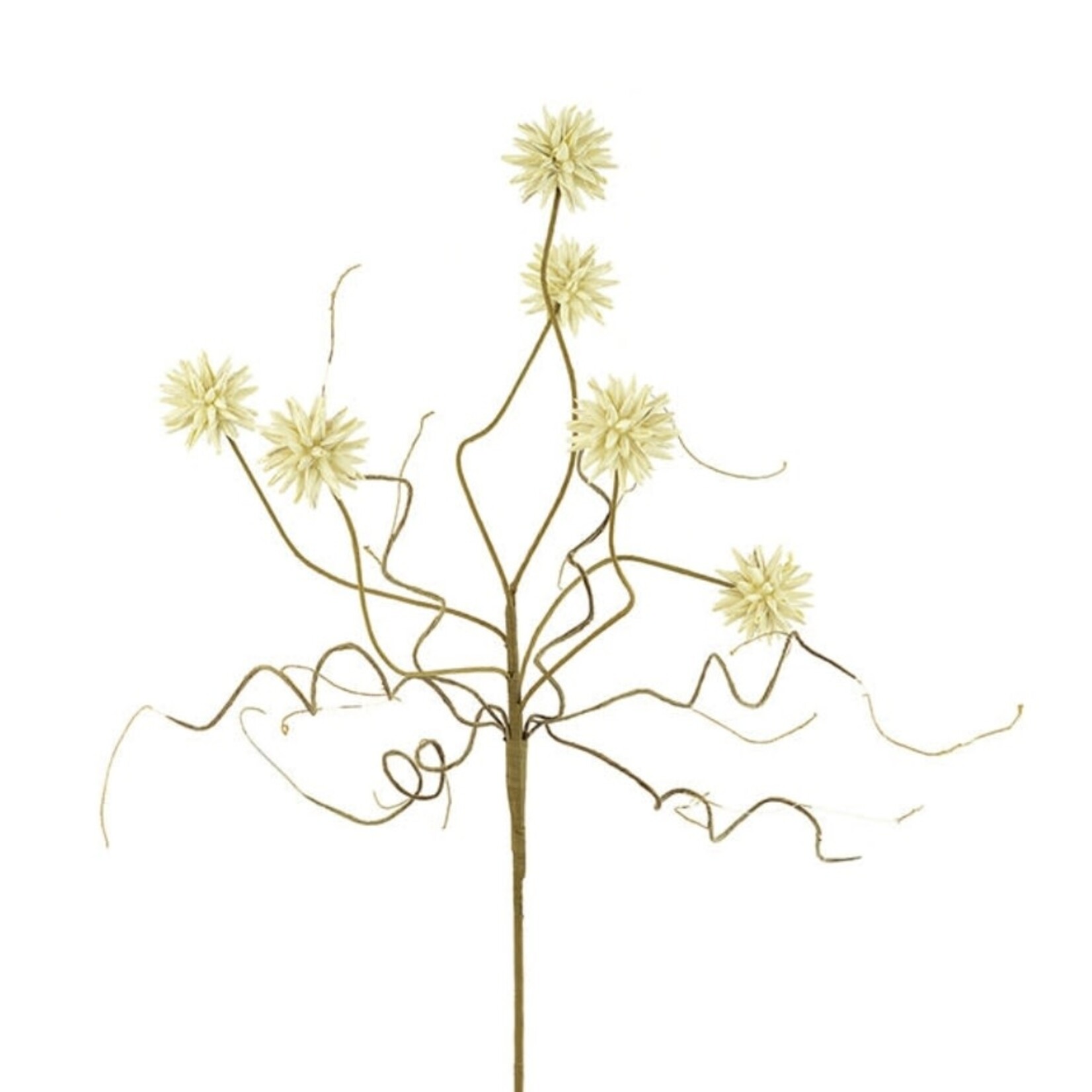 Botanica #2443