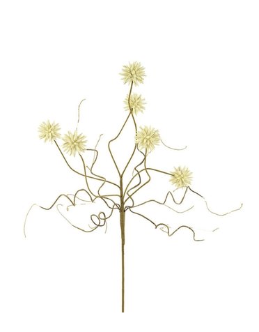Botanica #2443