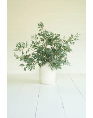 Botanica #3436, 45 in.