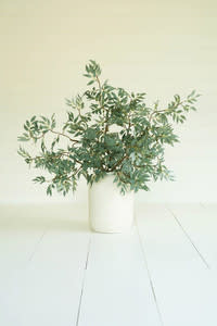 Botanica #3436, 45 in.