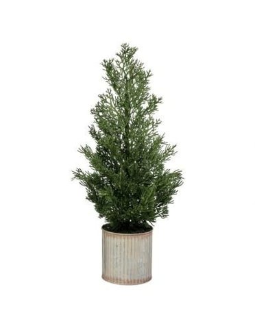 Cypress Tree in Tin Pot, Green