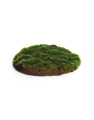 Moss round