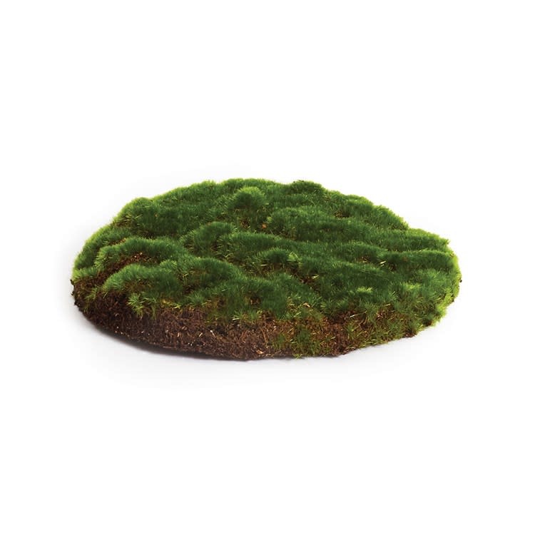 Moss round