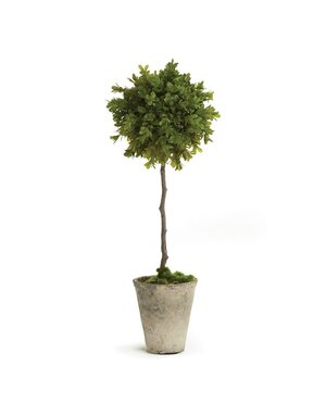 Faux Boxwood Potted Topiary, Available for local pick up