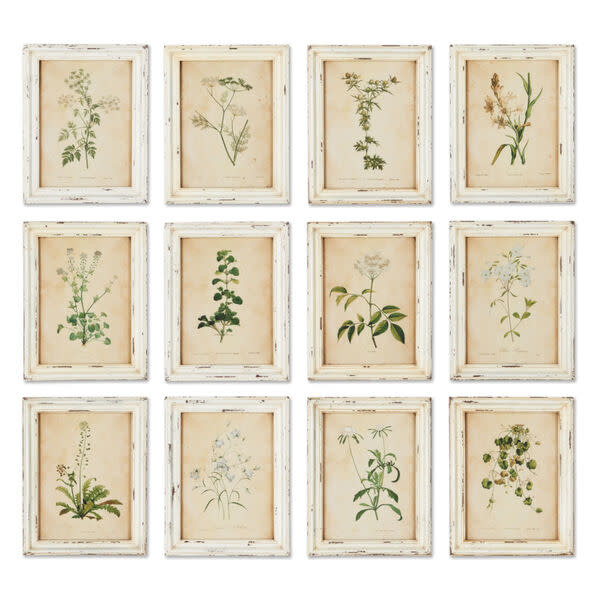 Framed Wild Flower Print 14.5 X 11, priced separately