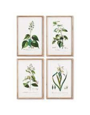 Flora Study Print 15.5x23.5