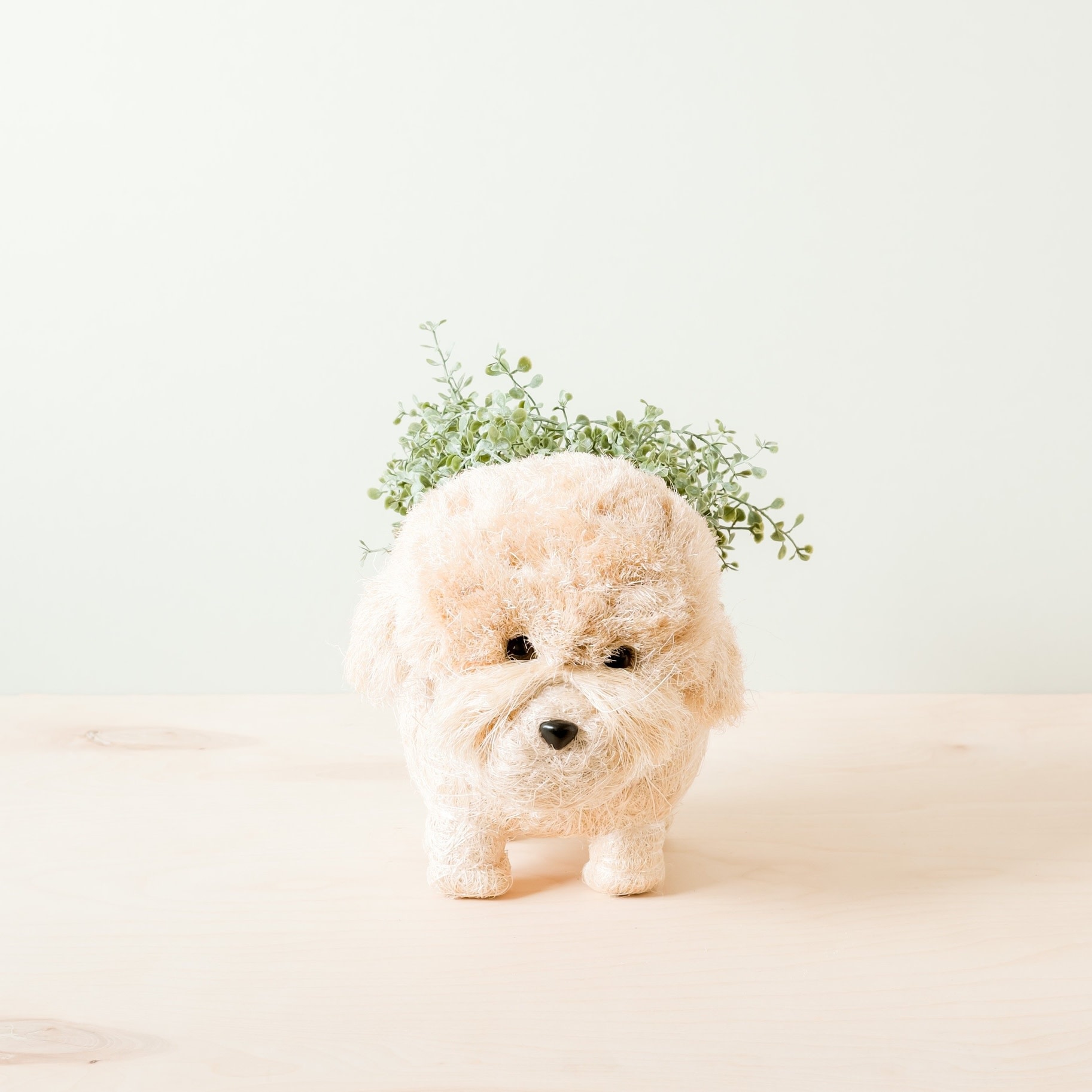 Poodle Planter, Available for local pick up