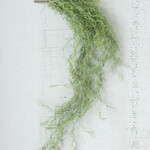 Artificial Green Moss