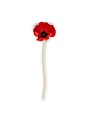 Red Real Touch Mini Poppy Stem
