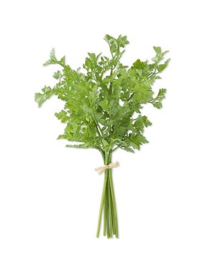 Parsley Bundle 18"