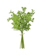 Parsley Bundle 18?›ƒ?ª?