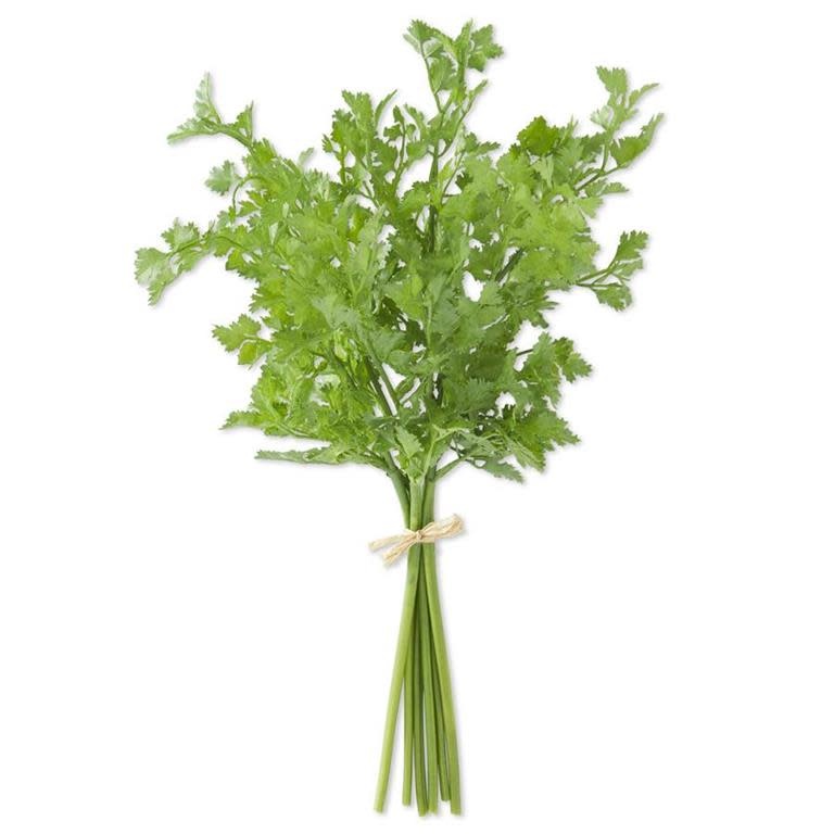 Parsley Bundle 18"