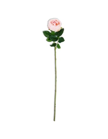 Pink Real Touch Austin Rose Stem