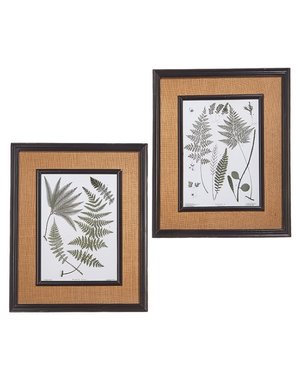 Fern Framed Print 19.5"x 24", Available for local pick up