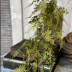Cutleaf Hanging Fern 34"