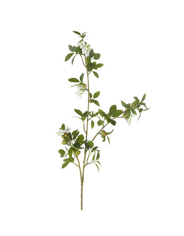 Green Quince Branch 42"