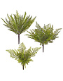 Fern Bush, assorted options 15", Priced Individually