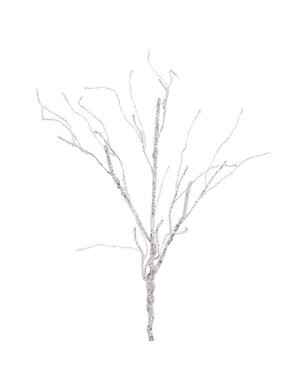 Iced Branch