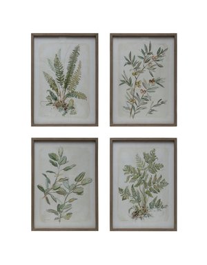 Botanical Print Wood Framed Glass 19.5x27.5, Available for local pick up