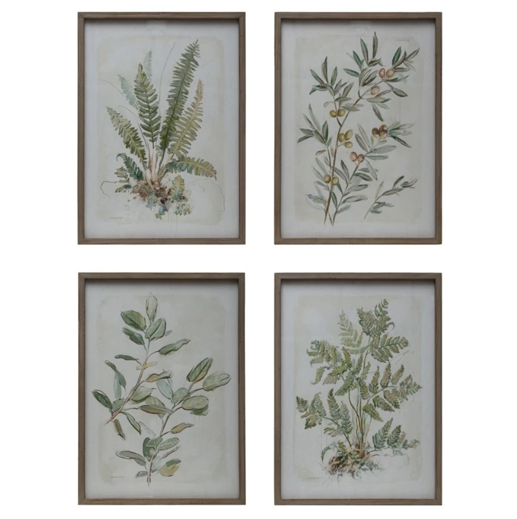 Botanical Print Wood Framed Glass 19.5x27.5, Available for local pick up