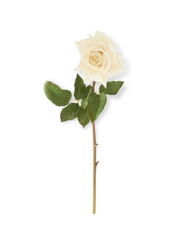 White Real Touch Duchess Rose Stem