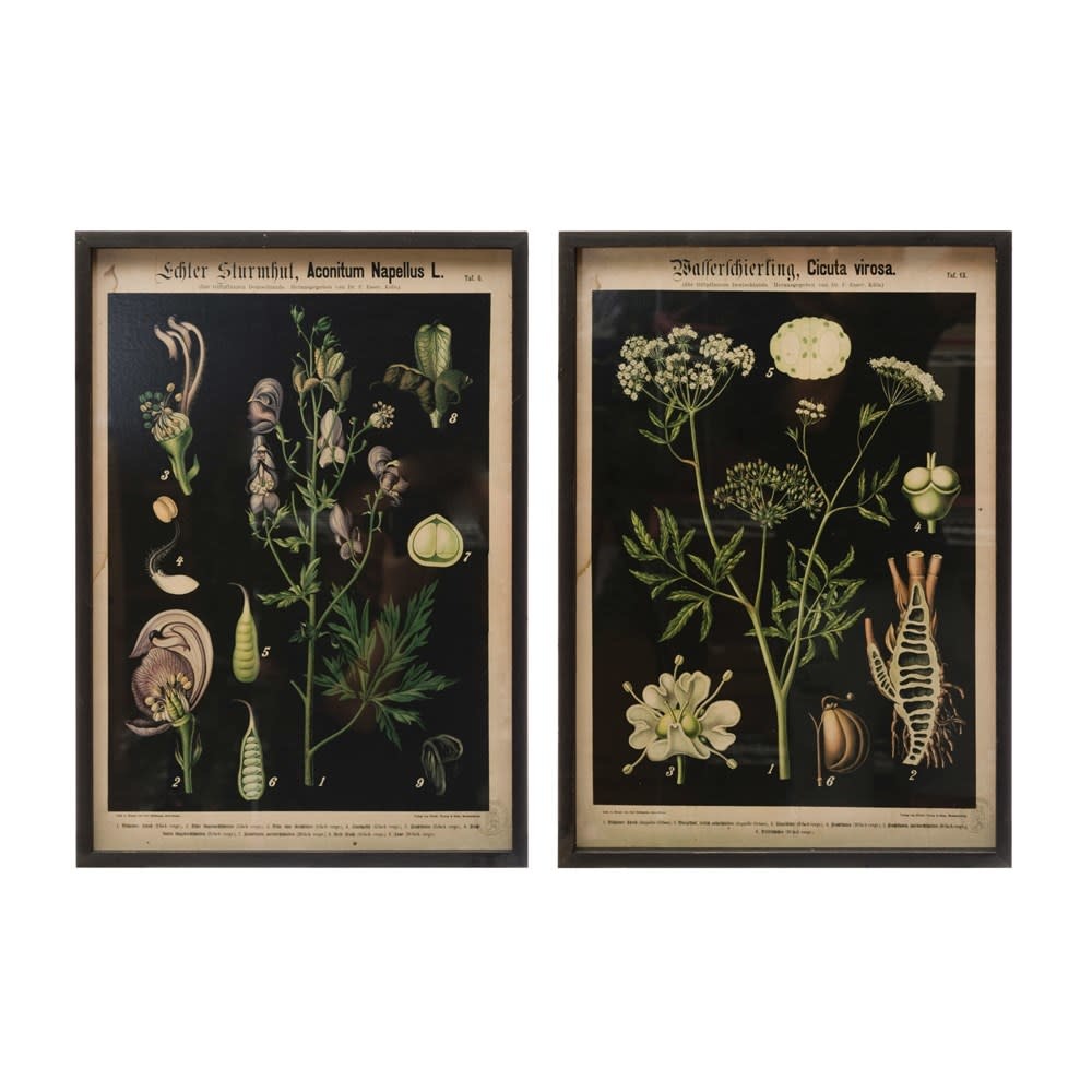 Vintage Looking Colorful Botanicals Wood Frame, 16 X 22, priced separately