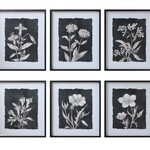 Black Botanical Print 6 options, 23.5x 27.75, Available for local pick up