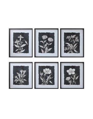 Black Botanical Print 6 options, 23.5x 27.75, Available for local pick up