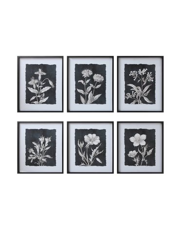 Black Botanical Print 6 options, 23.5x 27.75, Available for local pick up