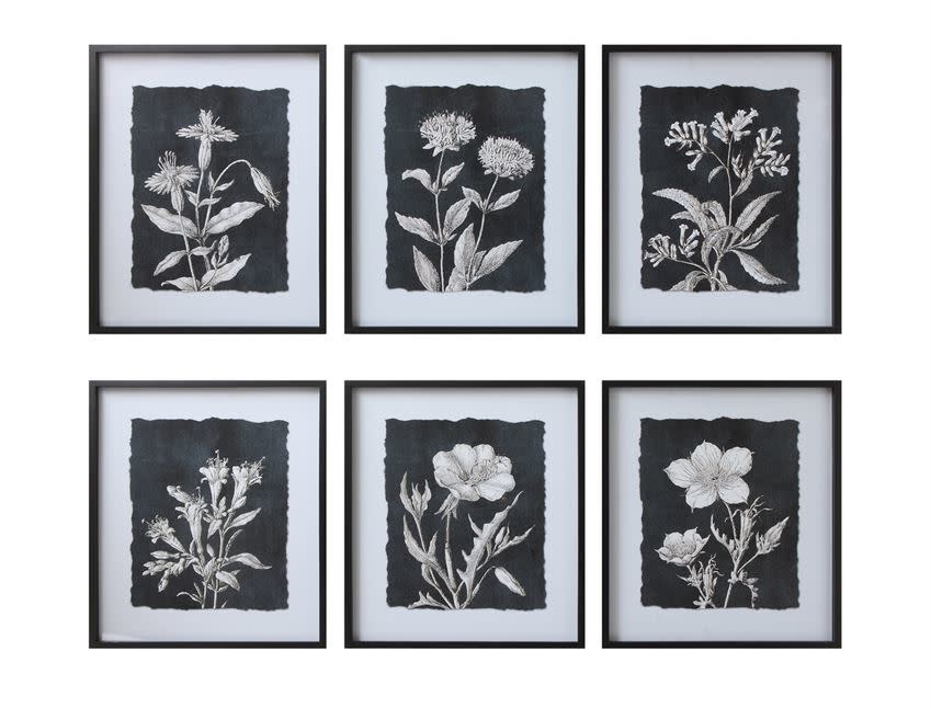 Black Botanical Print 6 options, 24"x 28"
