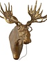 E&E Brass  Wall Mount, Moose, Eugene, Available for local pick up only