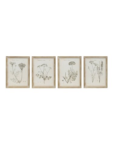 Vintage Botanical Print Wood Frame 18x24, Assorted, Priced Individually