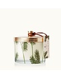 Thymes Pine Needle 3-Wick Poured Candle, 11.5 oz., Frasier Fir