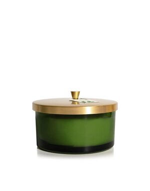 Thymes Green 4-Wick Candle, 21 oz., Frasier Fir