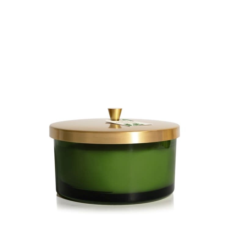 Thymes Green 4-Wick Candle, 21 oz., Frasier Fir