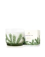Thymes Small Pine Needle Luminary, Frasier Fir, 7.5 oz