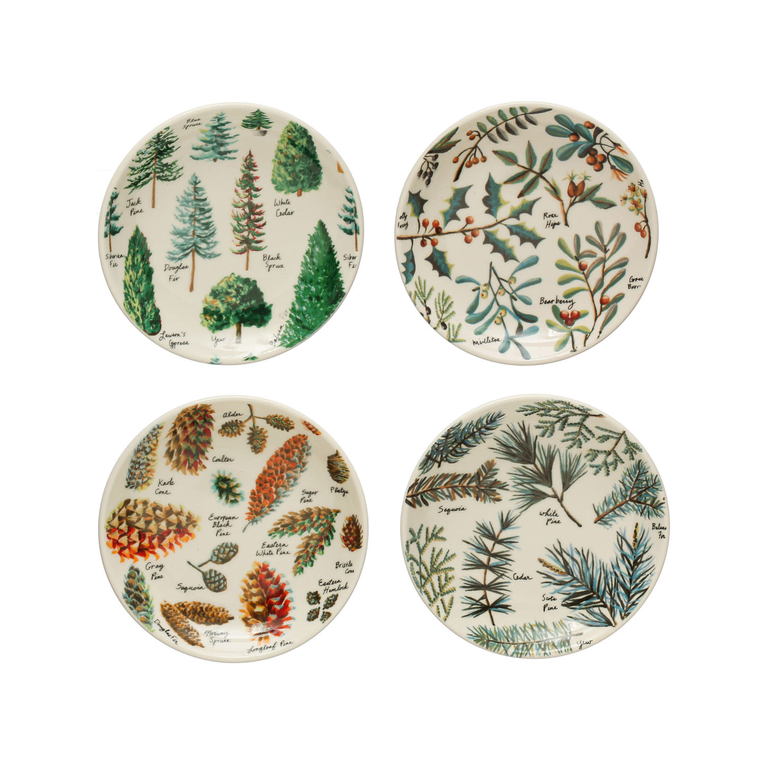Assorted Round Stoneware Plate w/ Evergreen Botanicals