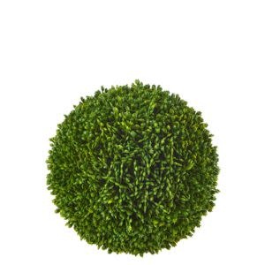 Sedum Ball, 4"