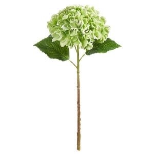 Green Hydrangea Stem, 20.5 in.